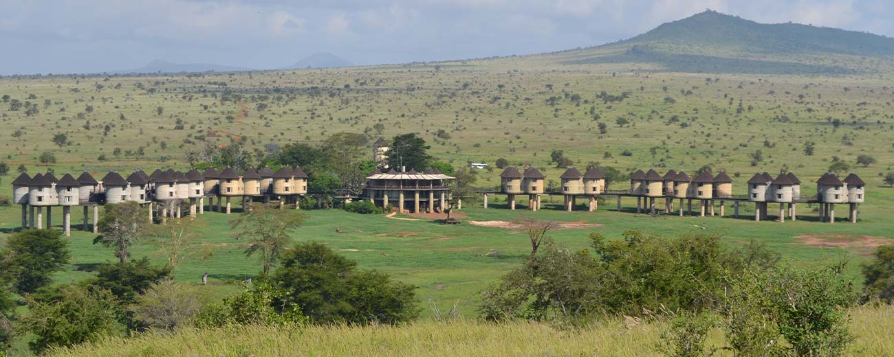 3 Giorni Safari Taita Hills e Tsavo Est