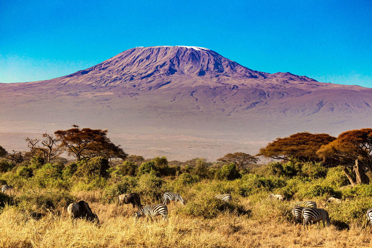 Safari 4 giorni, 3 notti Taita, Amboseli, Tsavo Est