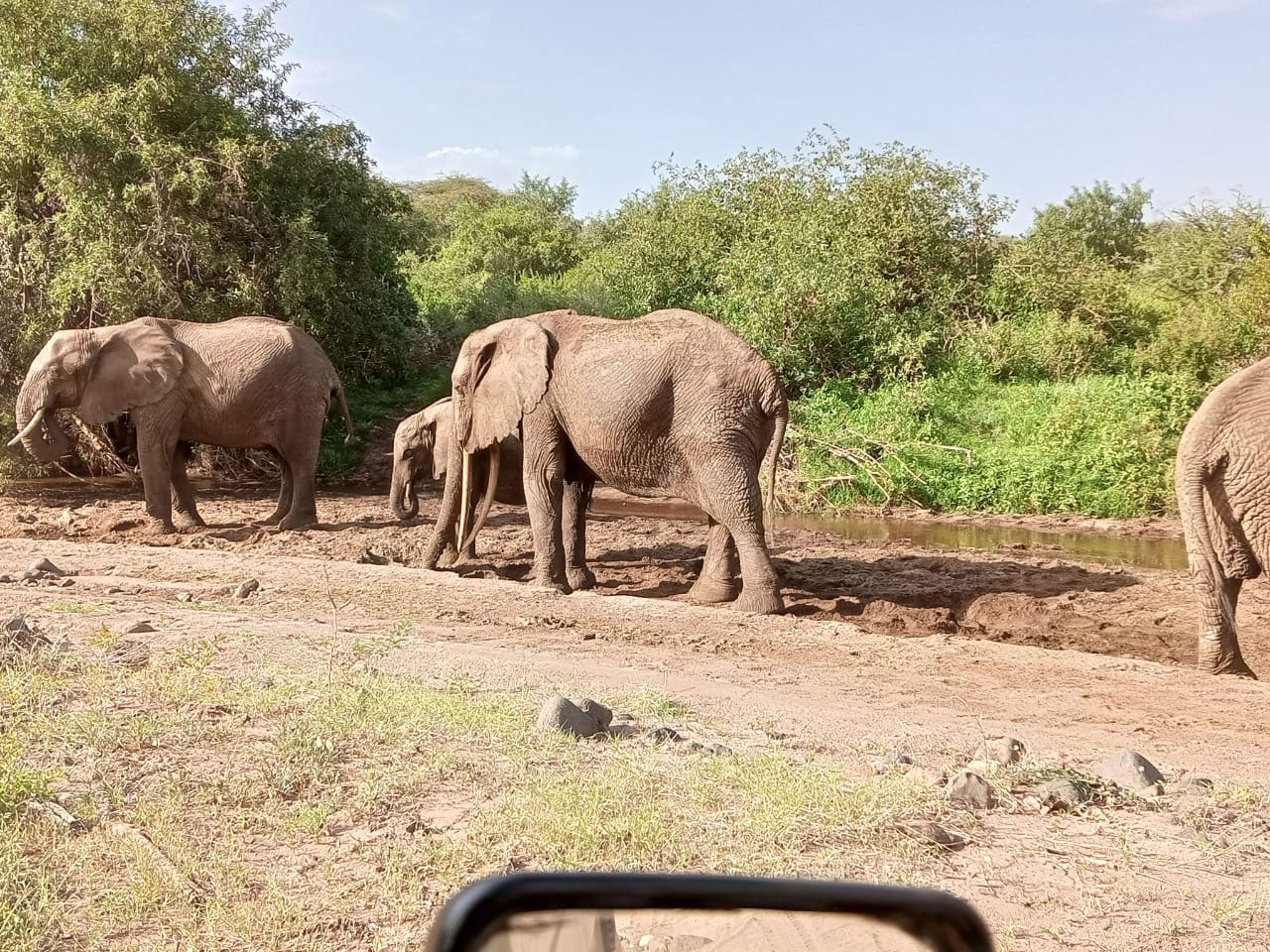 Safari 4 giorni, 3 notti Tsavo Ovest, Amboseli, Tsavo Est